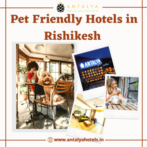 Pet Friendly Hotels in Rishikesh