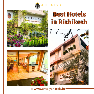 Hotels to stay in Rishikesh 