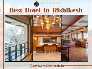 best hotels in rishikesh