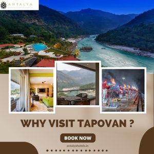 Why visit tapovan? Explore top activities