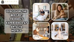 Pet Friendly Hotel