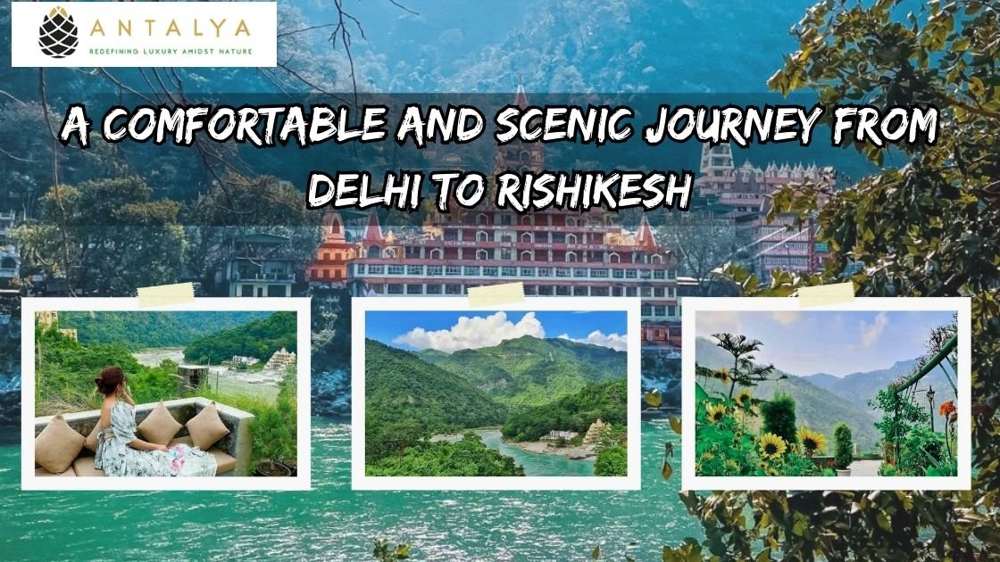 Delhi To Rishikesh