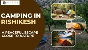 Camping In Rishikesh