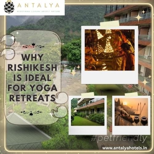   Why Rishikesh Is Ideal for Yoga Retreats